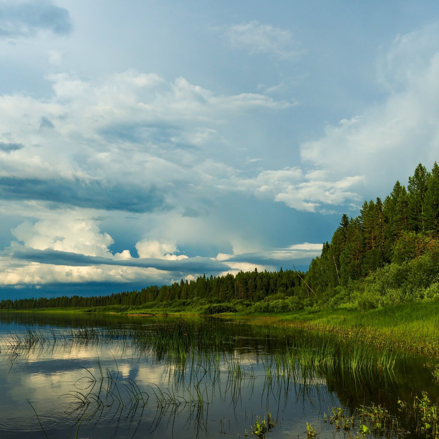 Photo #13313632