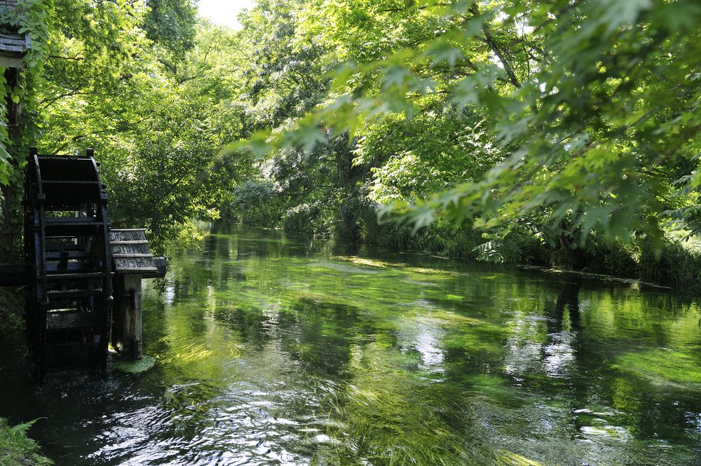 Photograph by Nonnie