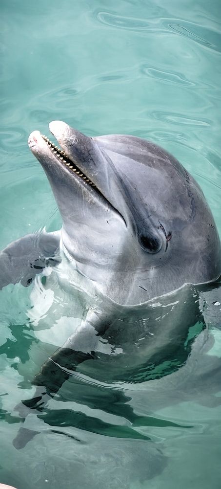 Photo #13313669