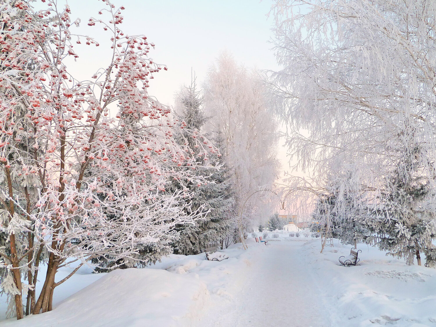 Photo #13313674