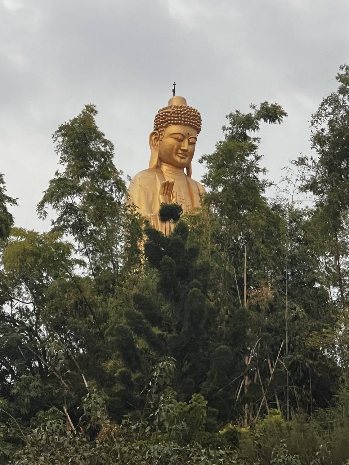 Buddha Smile