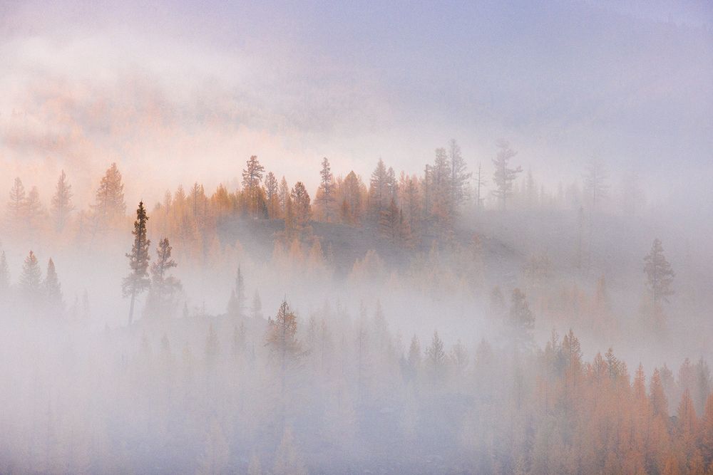 Фотография автора Сергей Буторин