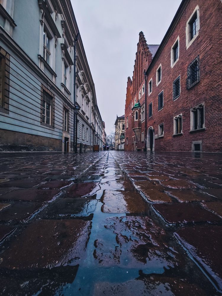 Photograph by Marcin Print D