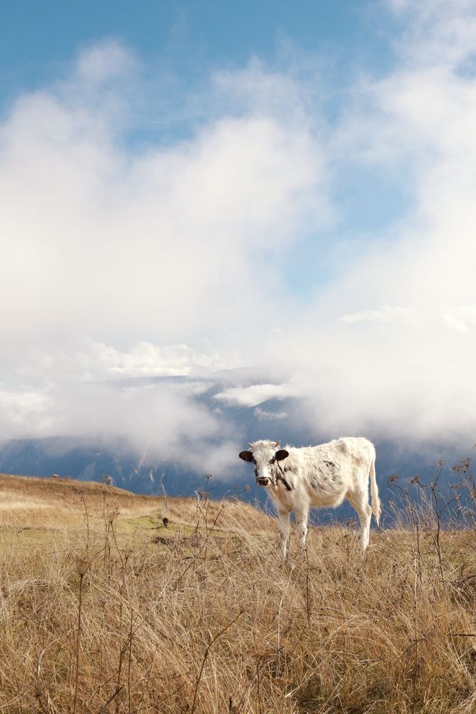 Photograph by Oksana Sokolova