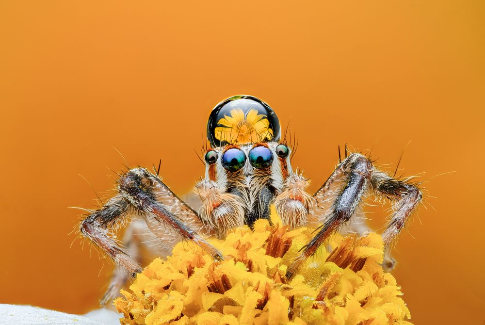 Photograph by Ngoc Hieu Bui
