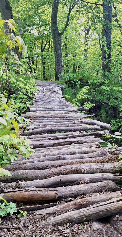 Photograph by Дина Темницкая