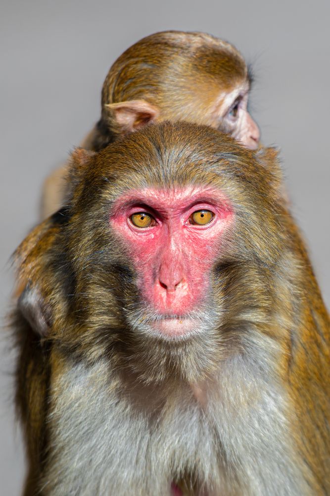 Photograph by Валерий Худынцев