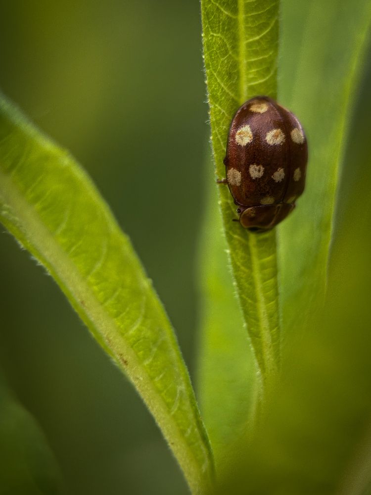 Photograph by Марина Харитонова