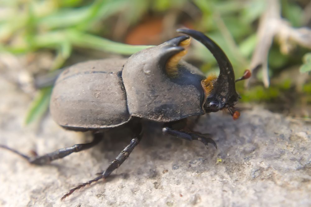 Фотография автора Guillermo Topp