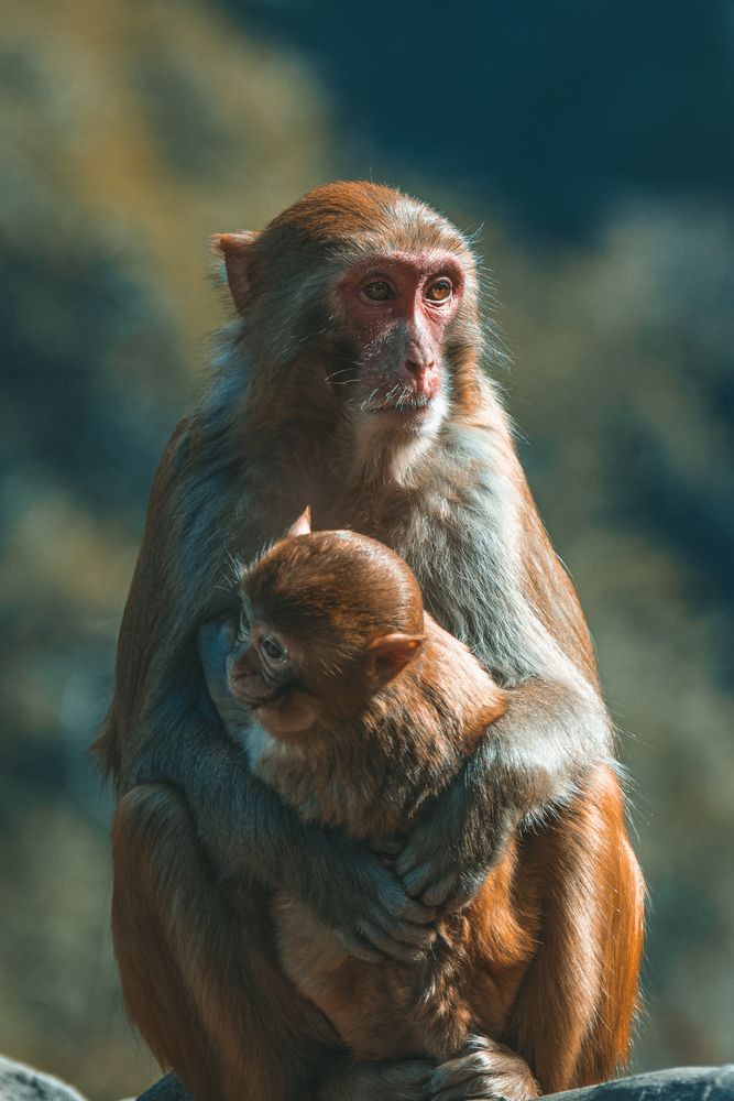 Photograph by Валерий Худынцев