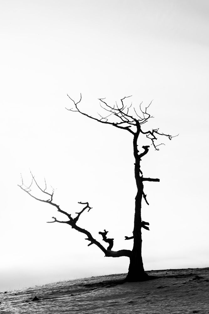 Photograph by Oksana Sokolova