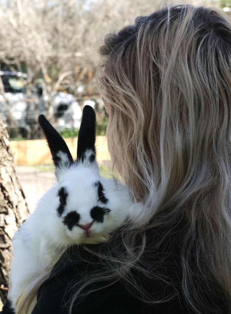 Photograph by Merav Zuberman Perkal