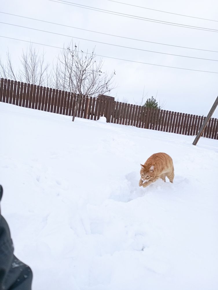 Фотография автора София Галиева