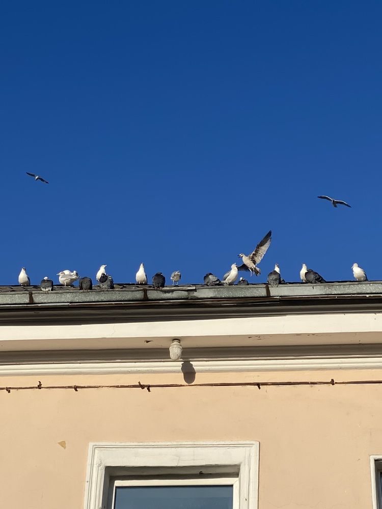 Photograph by Лина Шварц