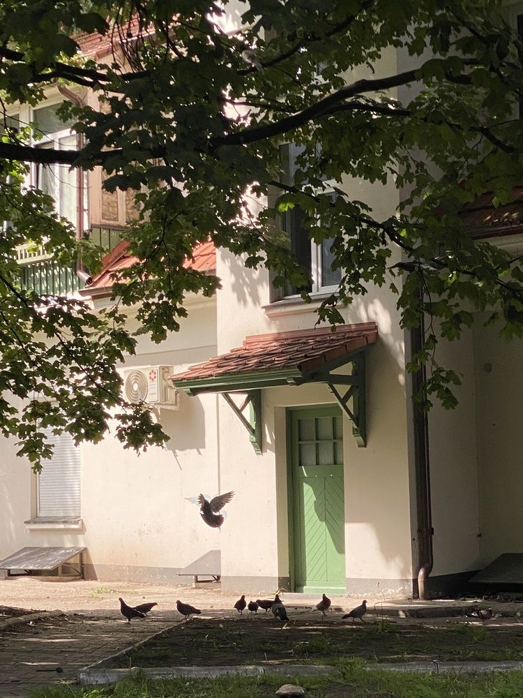 Photograph by Лина Шварц