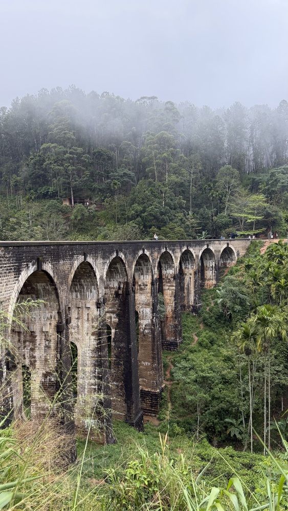 Photograph by Наталья Изотова