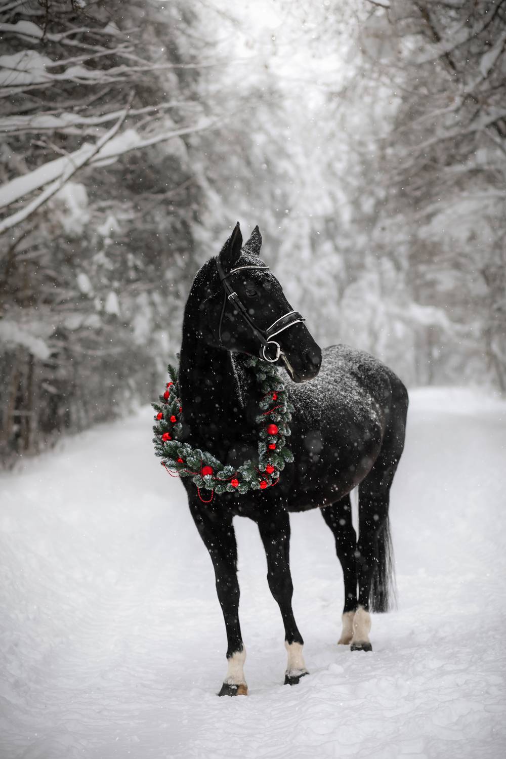 Фотография #13314097