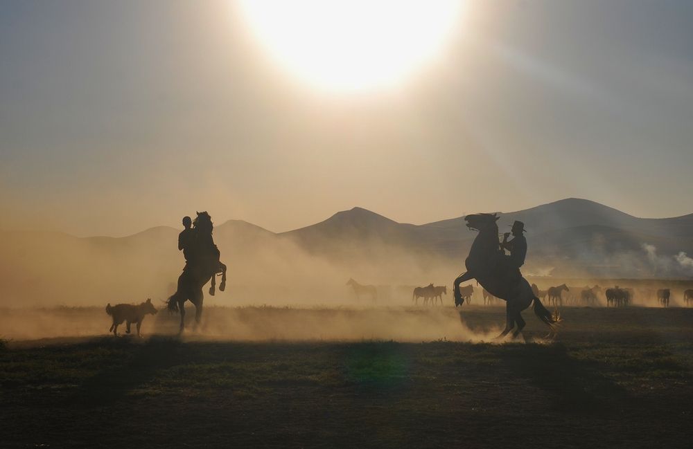 Photograph by SÜLEYMAN ÜLKER
