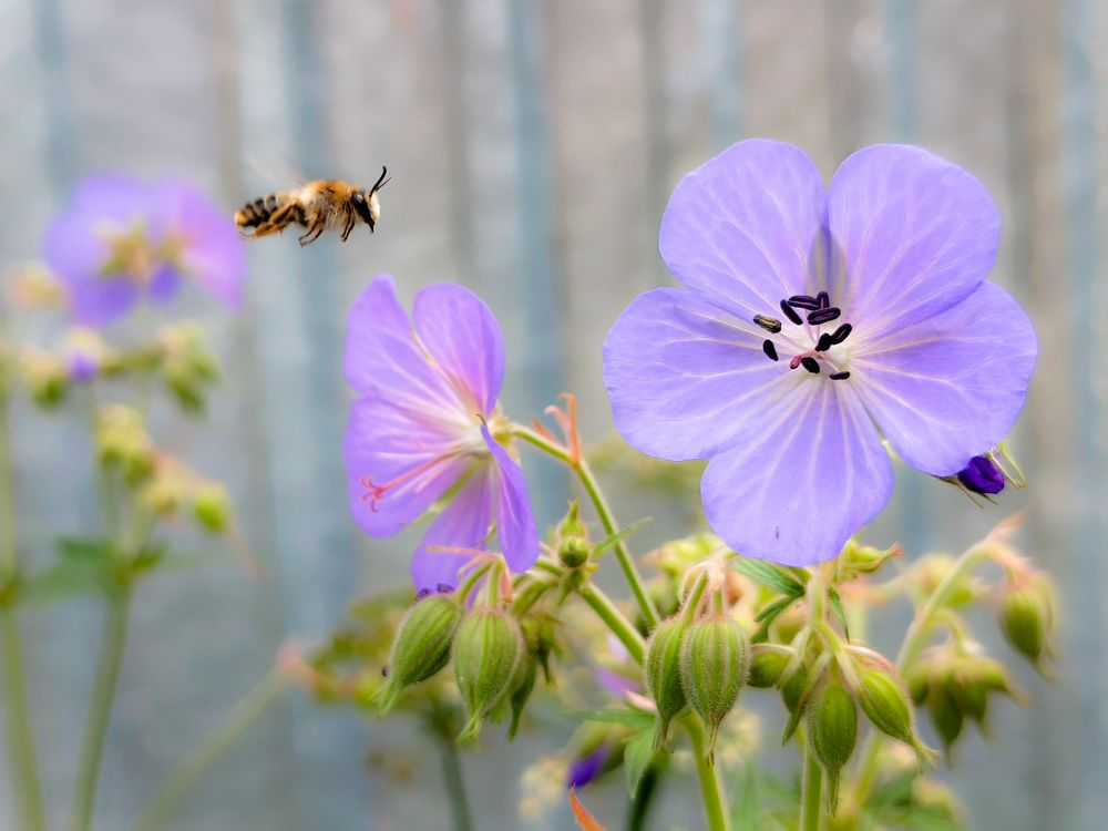 Photograph by Кондрашова Светлана