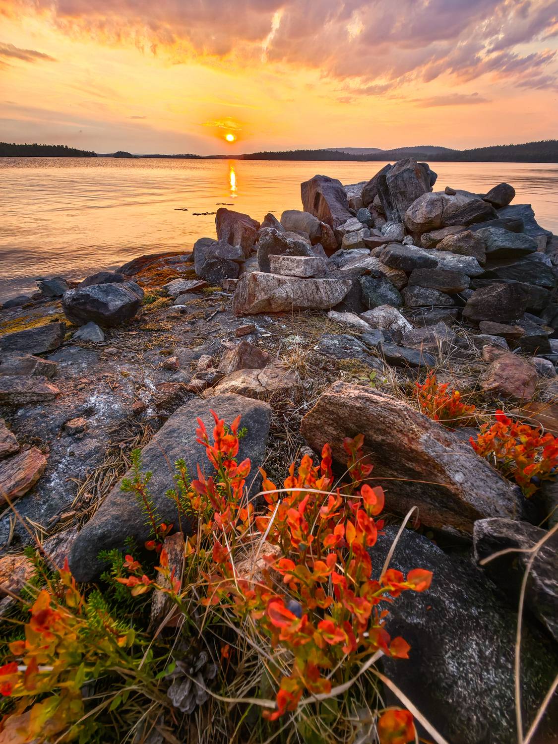 Фотография #13314618