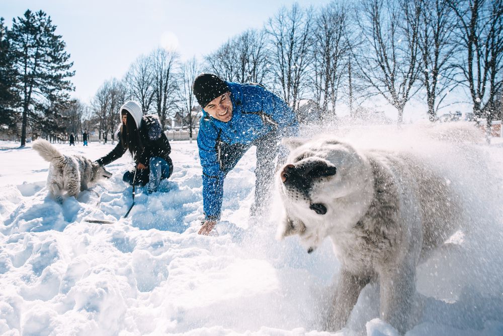 Photograph by Илья Ушак