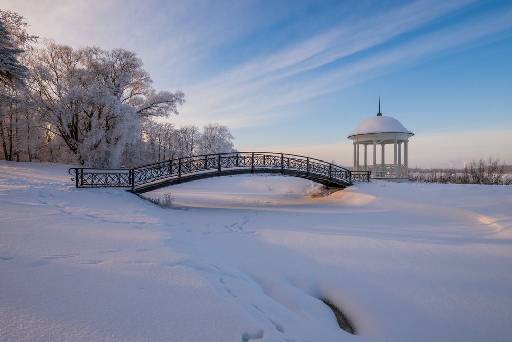 Фотография автора Третьякова Анастасия