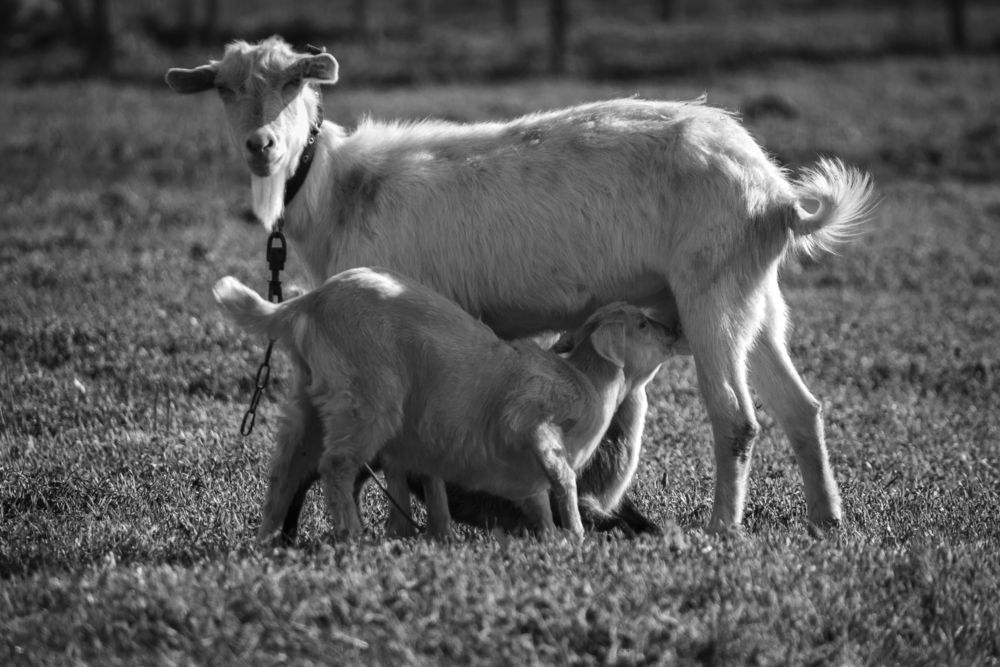 Photograph by Сергей