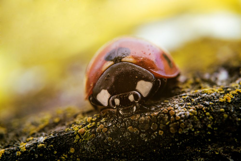 Photograph by Сергей