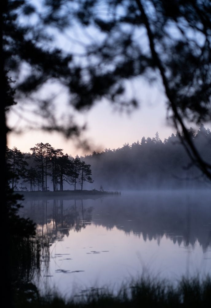 Photograph by Екатерина Одинцова
