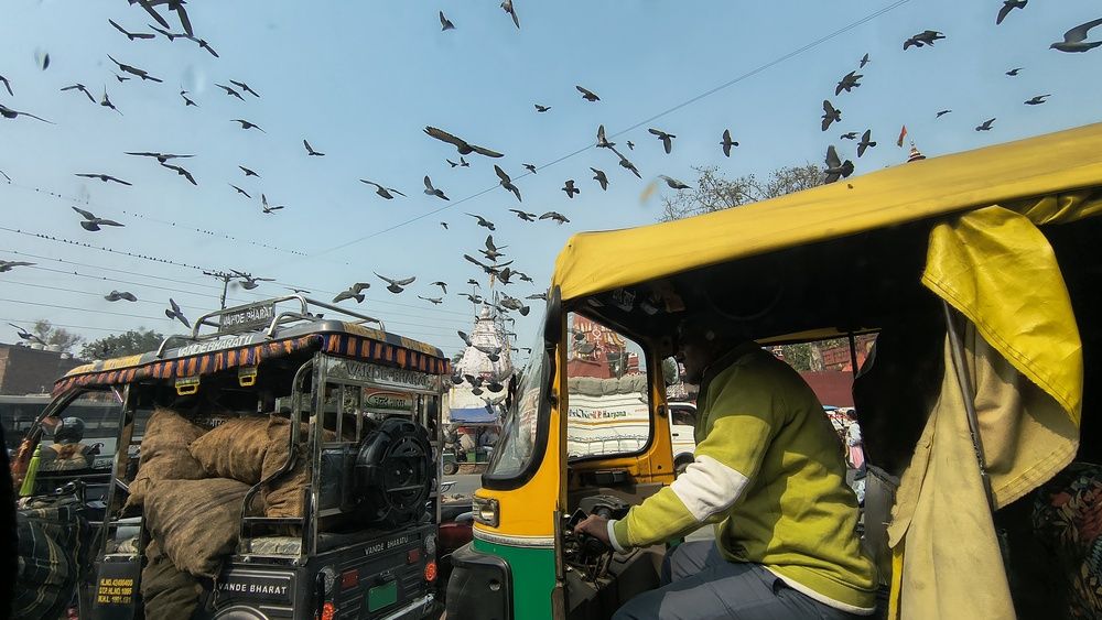 Photograph by Khushi Vashisth