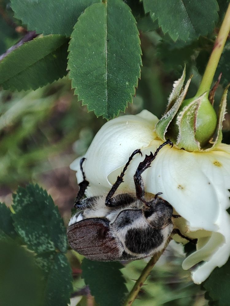 Photograph by Galina Novichkova