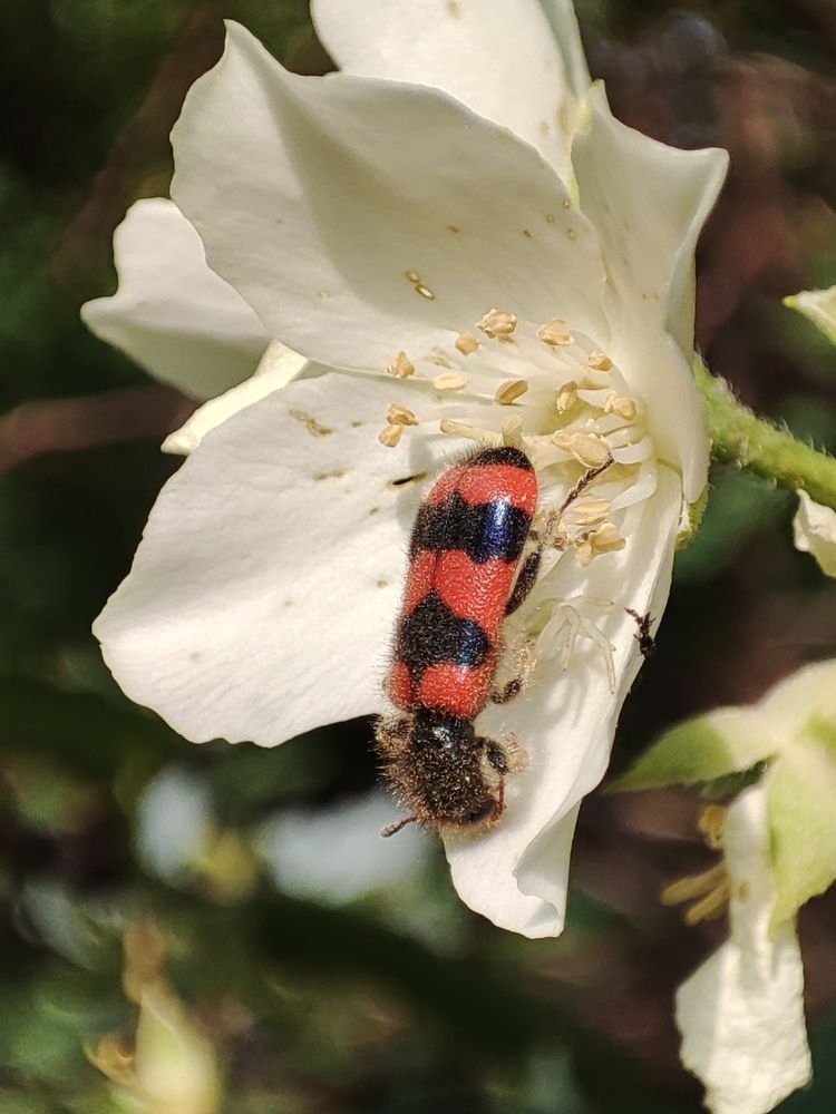 Photograph by Galina Novichkova