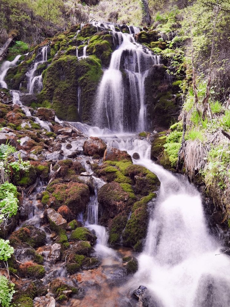 Photograph by Инна Адамович