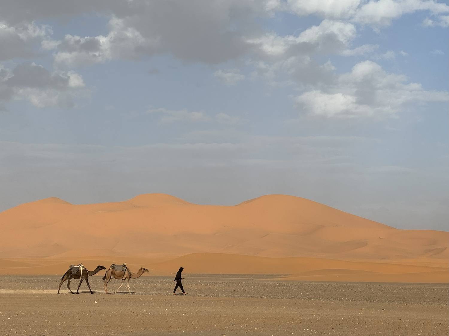 Фотография #13315109