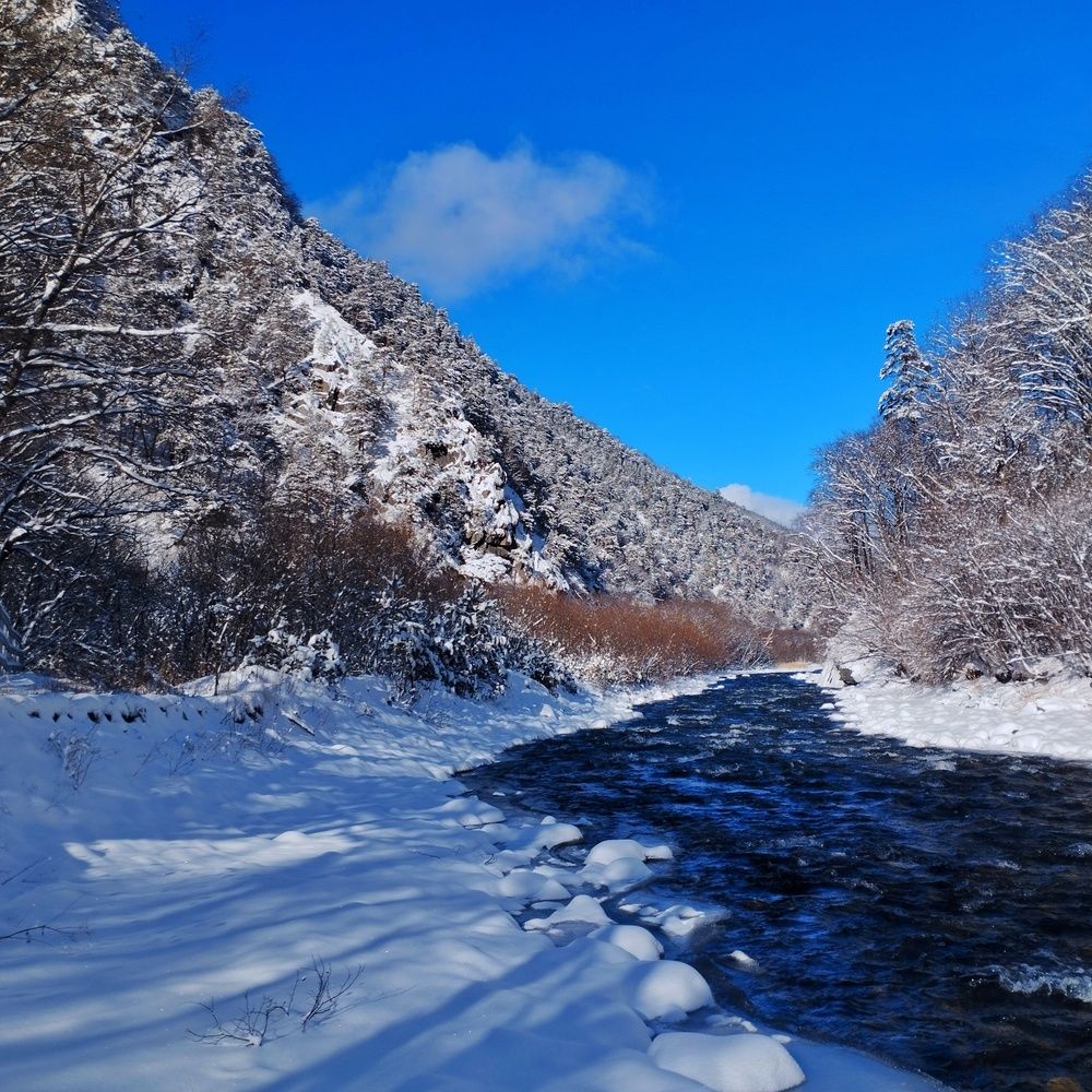 Зимняя \"Асса\"
