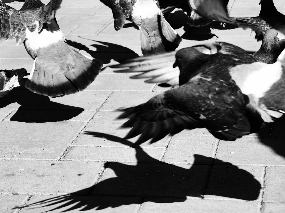 Photograph by Olga Shchetinina