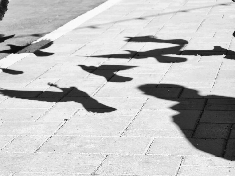 Photograph by Olga Shchetinina