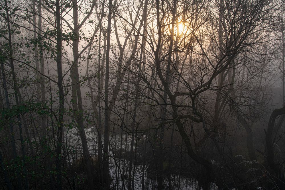 Photograph by Леонид Безручко