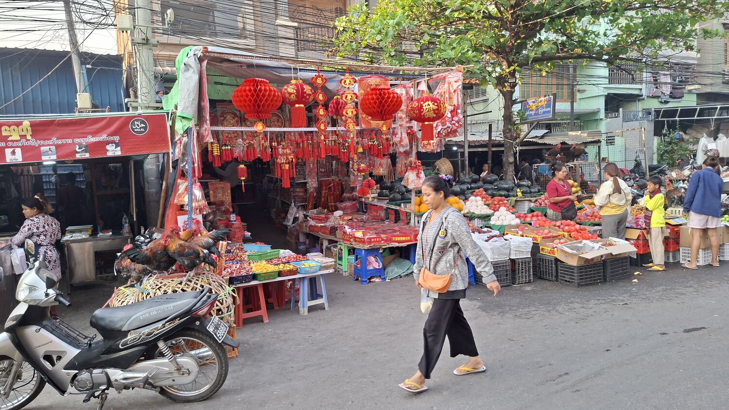 Photo #13315224