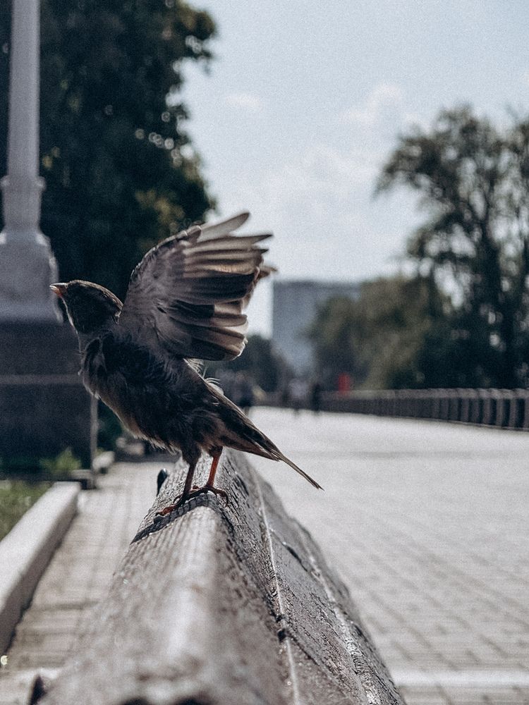 Photograph by Татьяна Цапкова