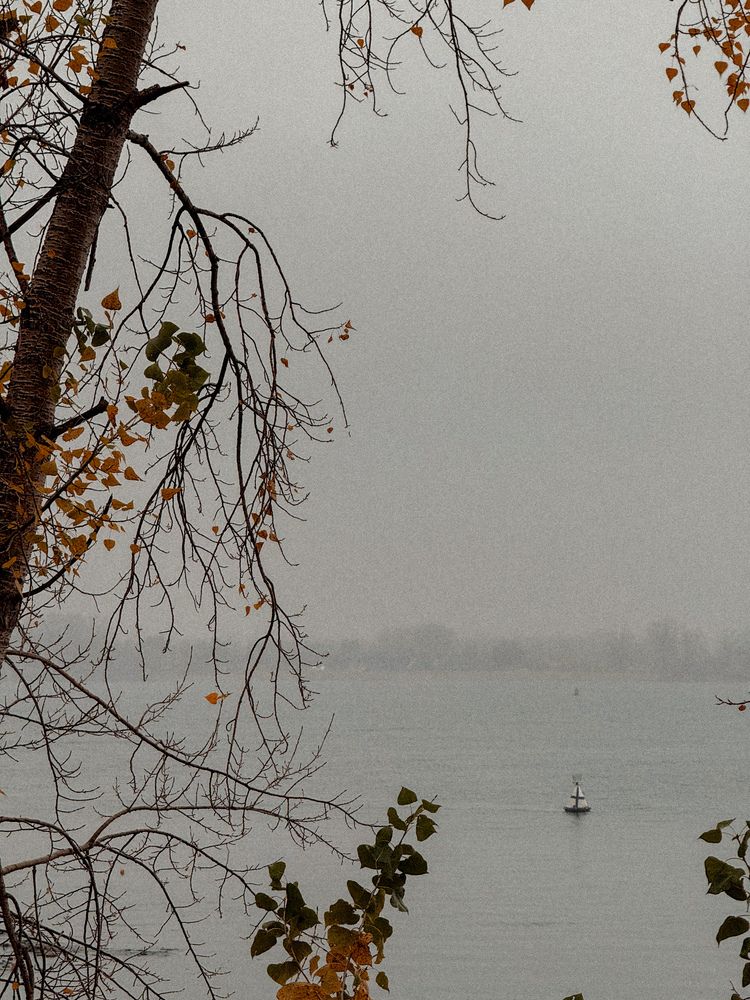 Photograph by Татьяна Цапкова