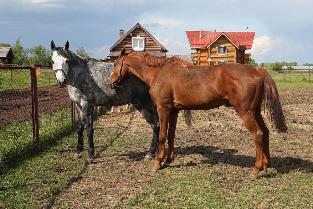 На прогулке