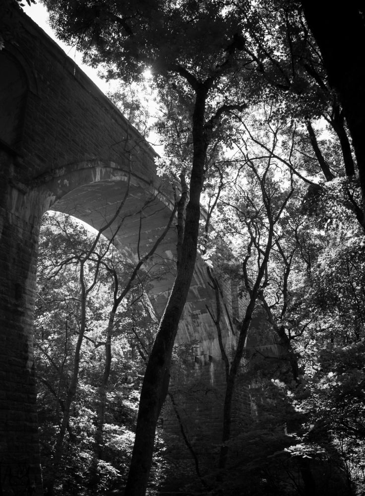 Photograph by Бэлла Учайкина