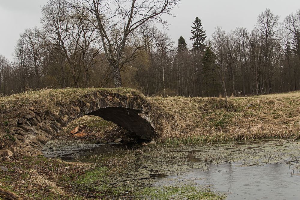Photograph by Людмила Сливкина
