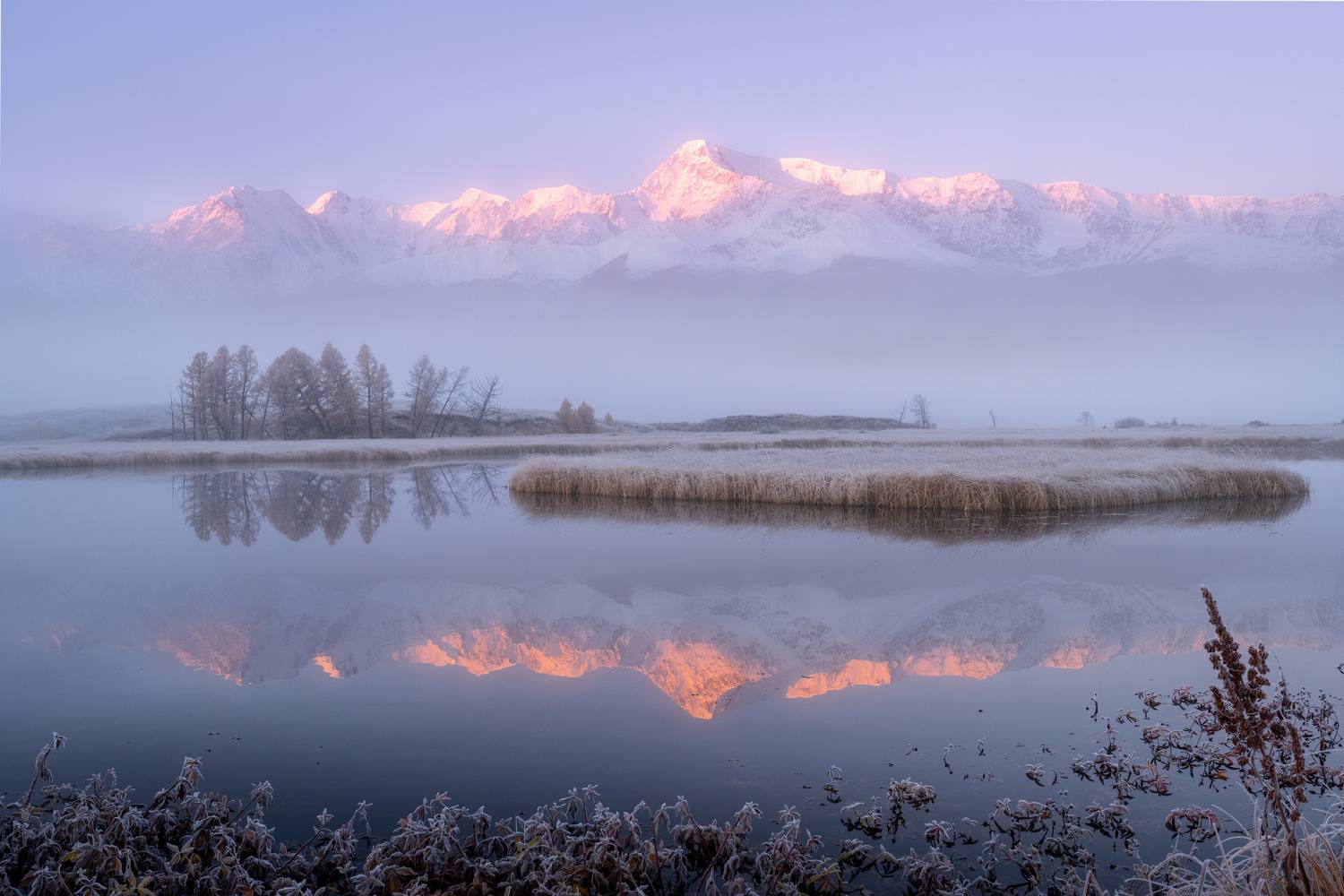 Фотография #13315528