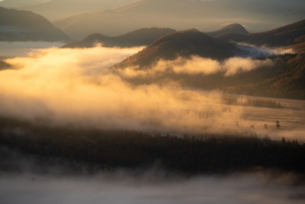 Photograph by Алексей