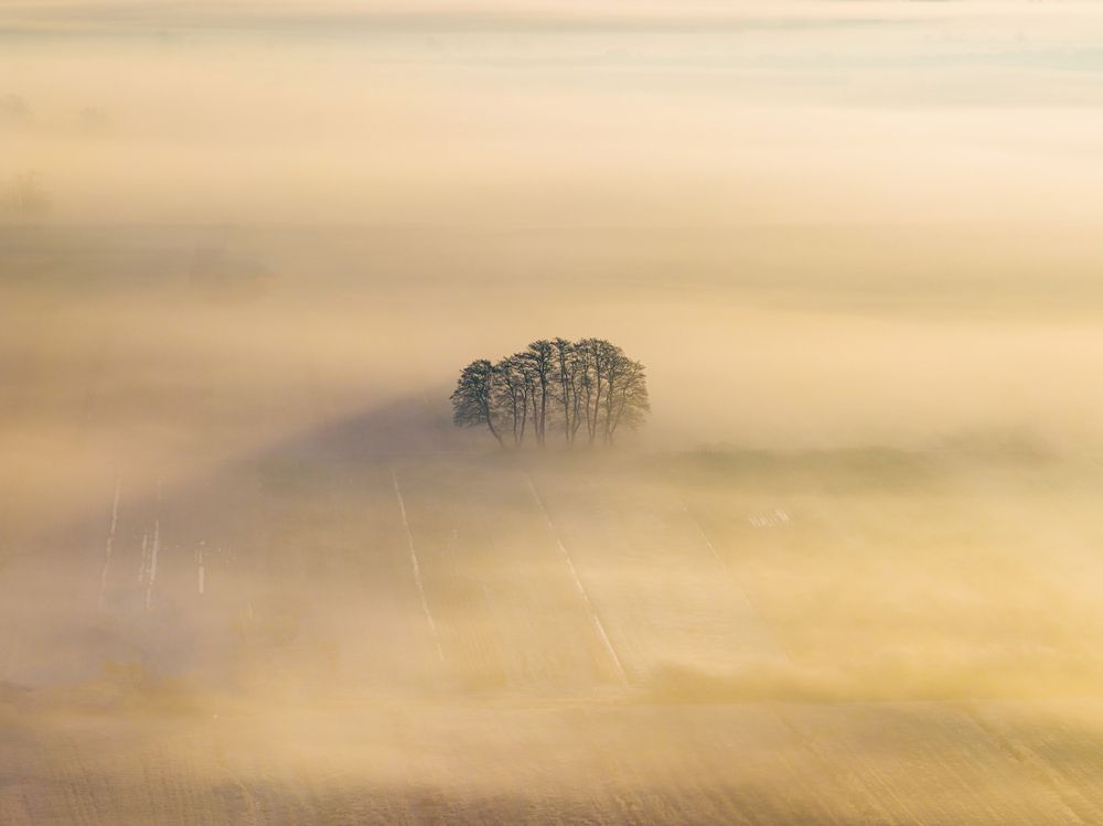 Solitude