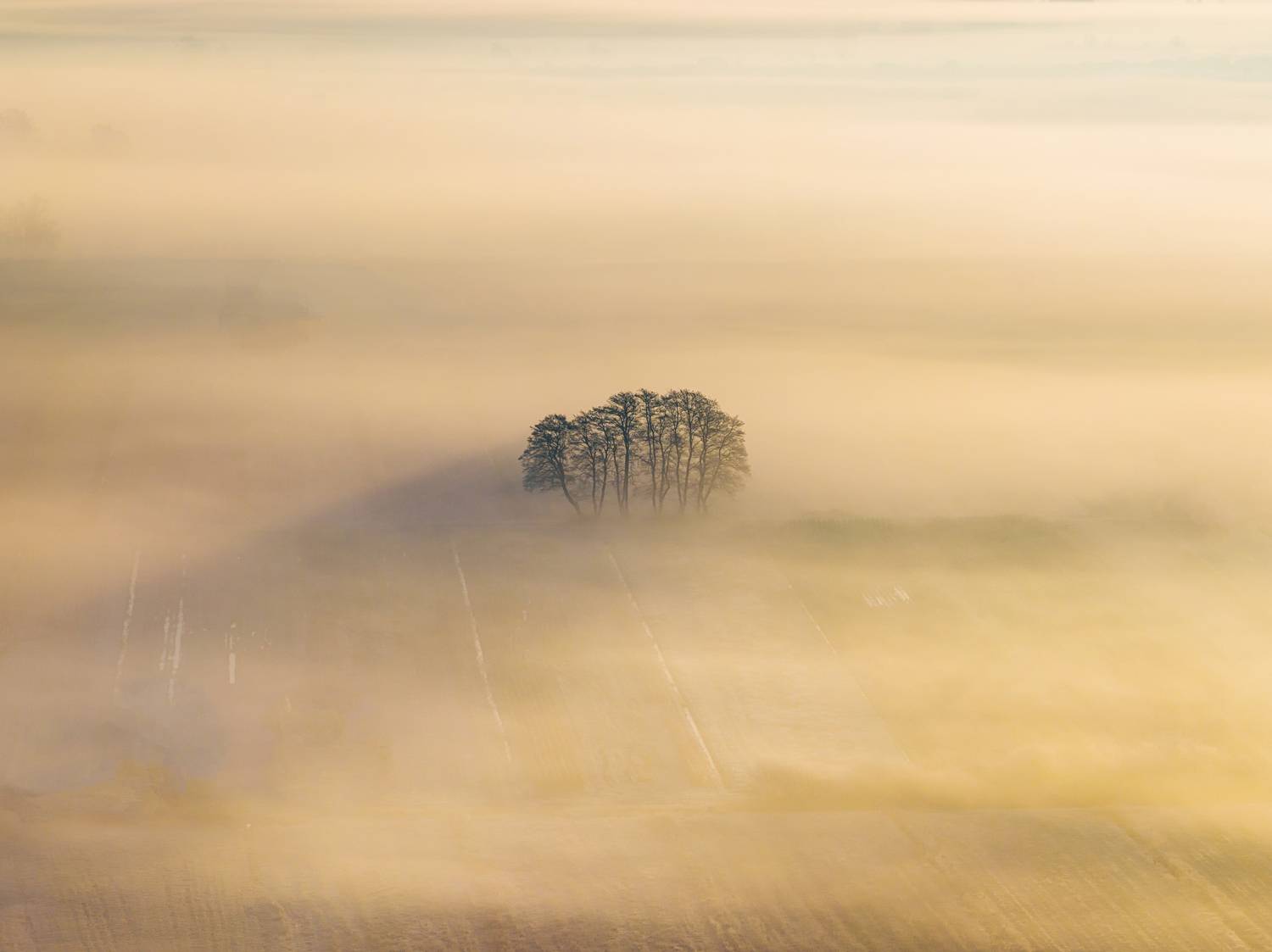 Solitude