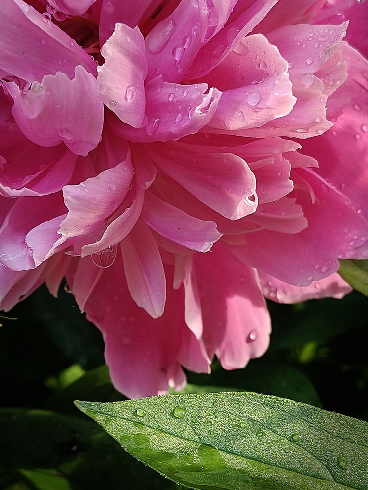 Photograph by Татьяна Елькина