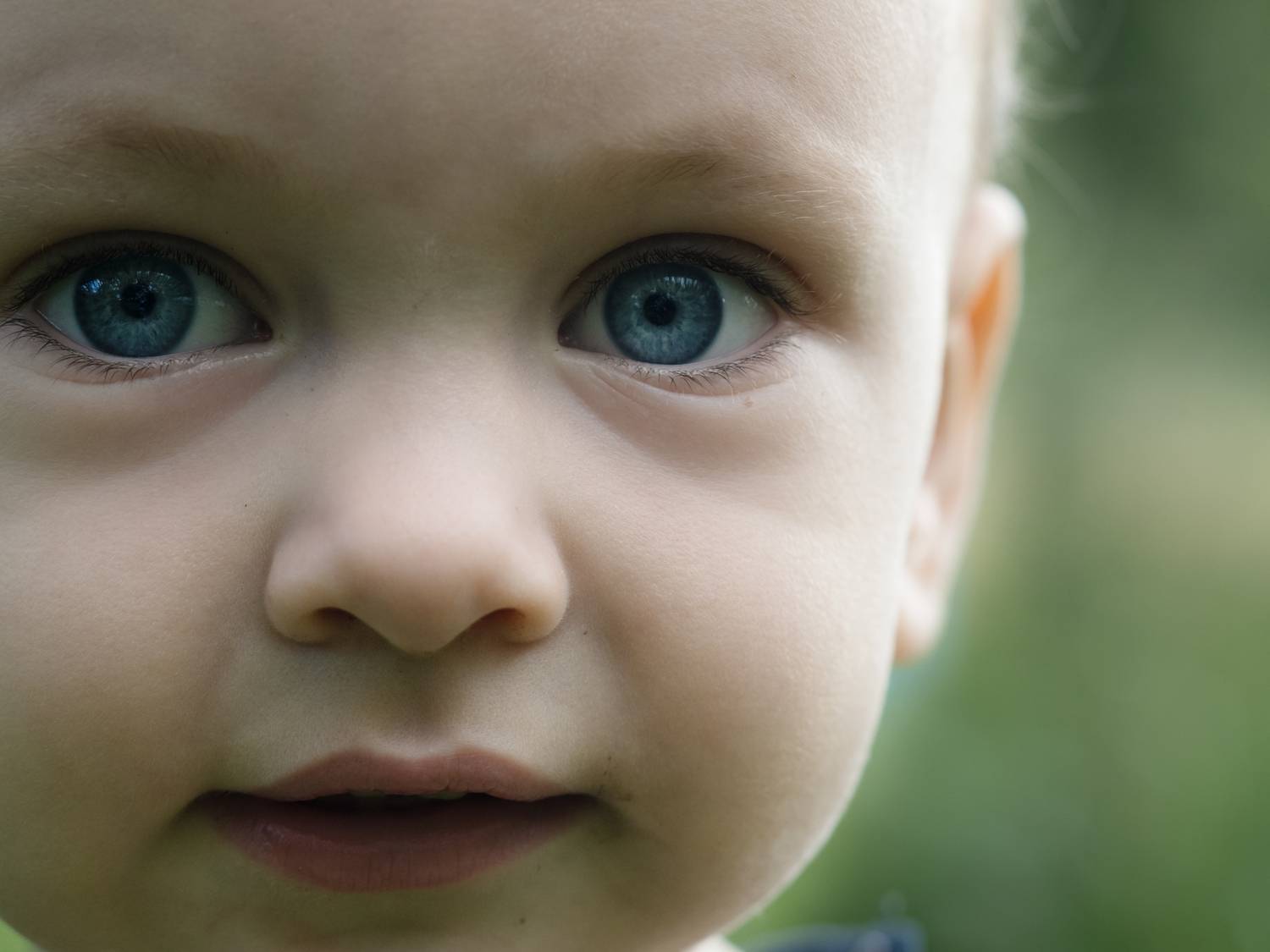 Фотография #13315647